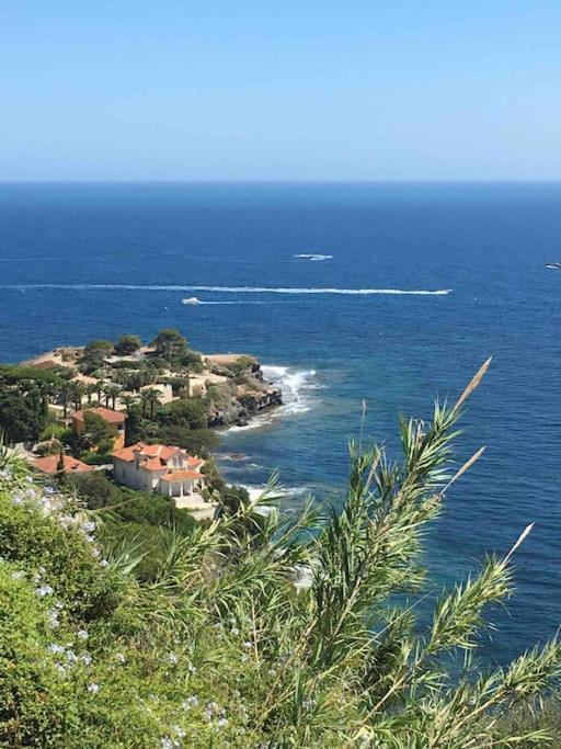 Vue Mer Incroyable Aux Portes De Monaco Cap-d'Ail Ngoại thất bức ảnh